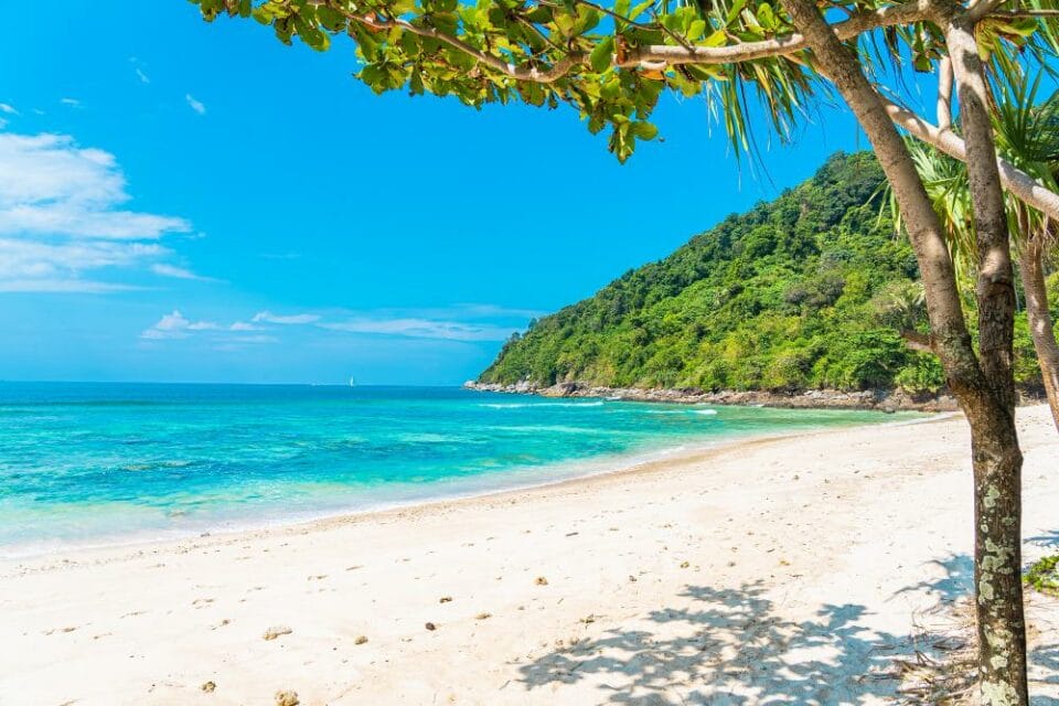 Beautiful tropical beach by the ocean, surrounded by coconut and other trees, under a blue sky with white clouds