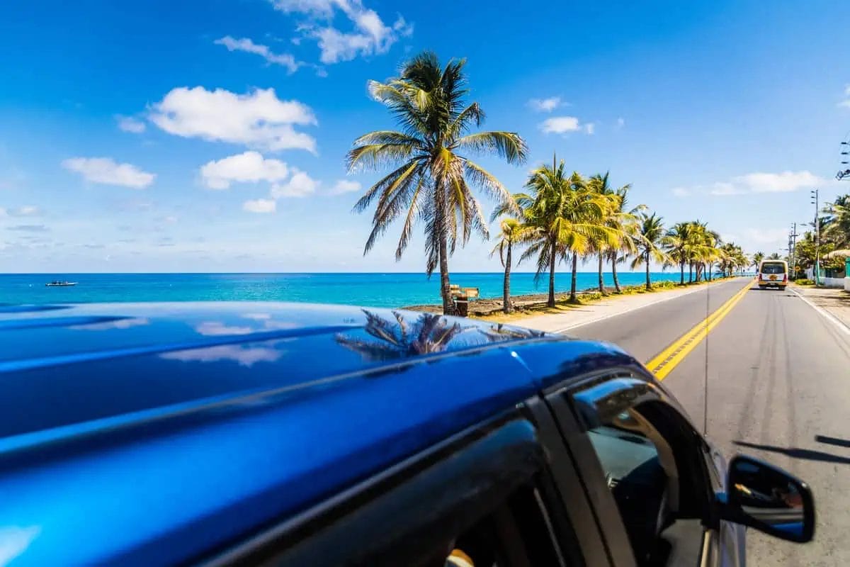 Reflection of a palm tree on the hood of a car driving along a tropical coastline
